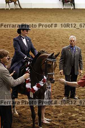 Proof Number 10r12_6707