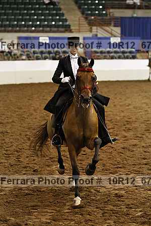 Proof Number 10r12_6717