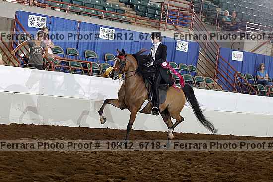 Proof Number 10r12_6718