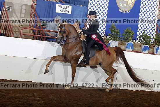 Proof Number 10r12_6722