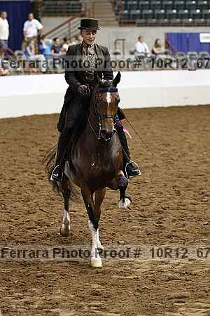 Proof Number 10r12_6726