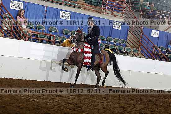 Proof Number 10r12_6731