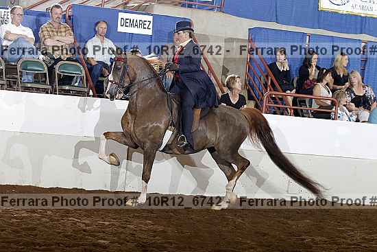 Proof Number 10r12_6742