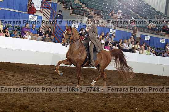 Proof Number 10r12_6748