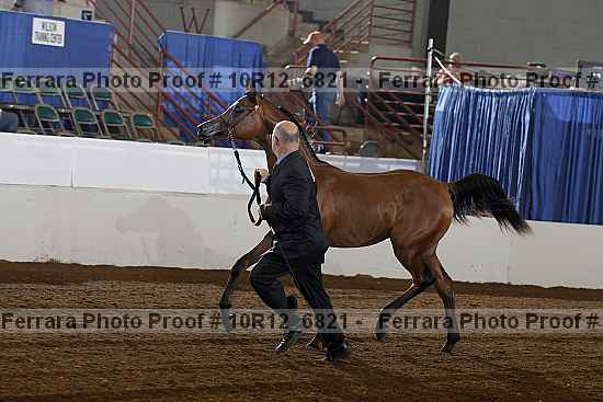 Proof Number 10r12_6821