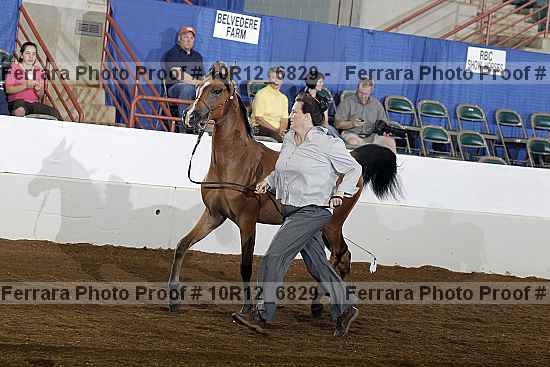 Proof Number 10r12_6829