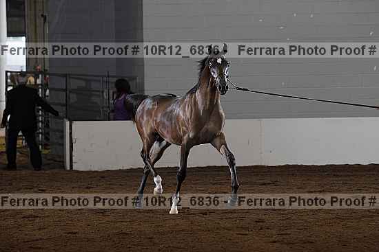 Proof Number 10r12_6836