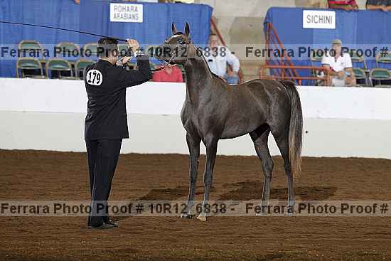 Proof Number 10r12_6838