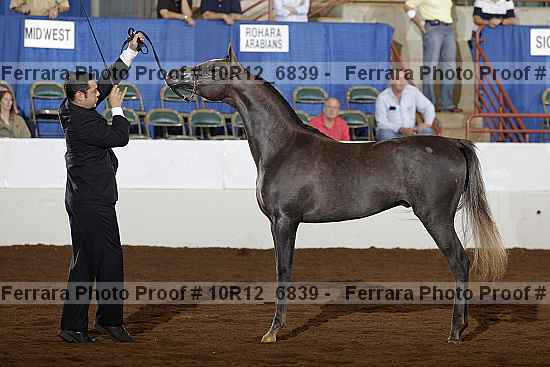 Proof Number 10r12_6839