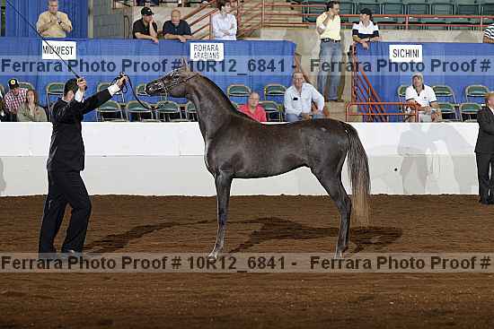 Proof Number 10r12_6841
