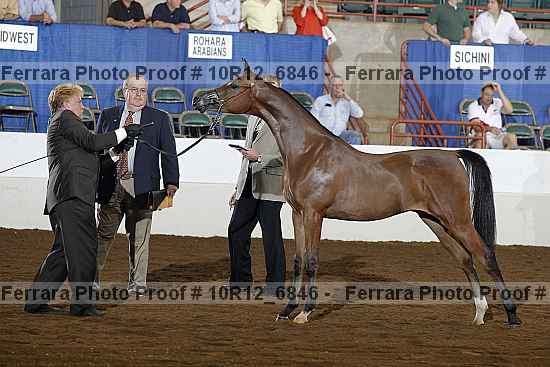 Proof Number 10r12_6846
