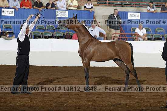 Proof Number 10r12_6848