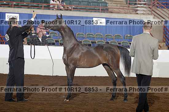 Proof Number 10r12_6853