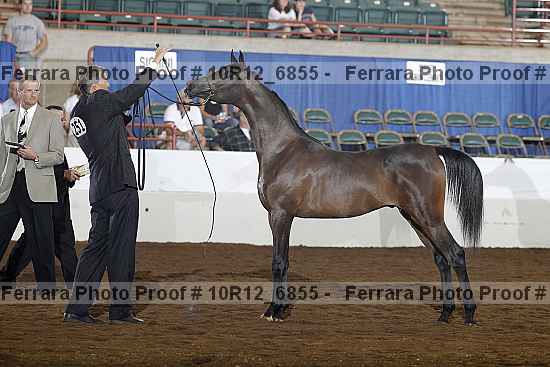Proof Number 10r12_6855