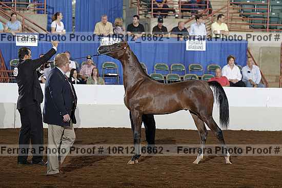 Proof Number 10r12_6862