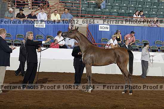 Proof Number 10r12_6864