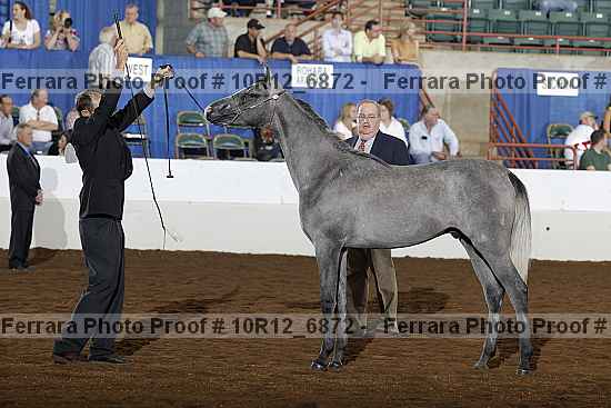 Proof Number 10r12_6872