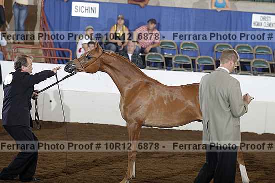 Proof Number 10r12_6878