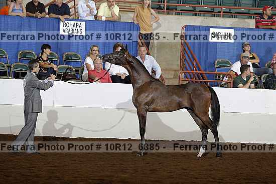 Proof Number 10r12_6885