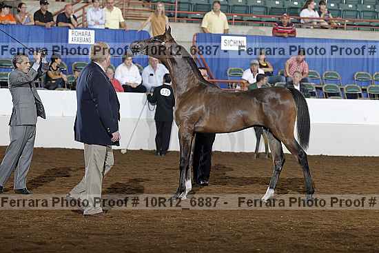 Proof Number 10r12_6887
