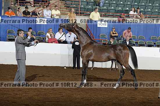 Proof Number 10r12_6888