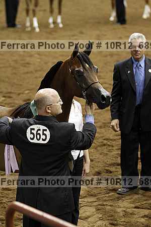 Proof Number 10r12_6897
