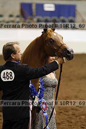 Proof Number 10r12_6913