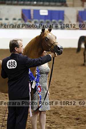 Proof Number 10r12_6916
