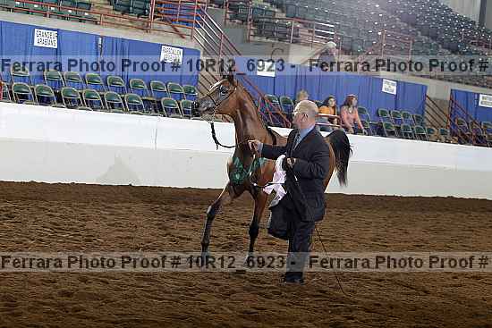 Proof Number 10r12_6923