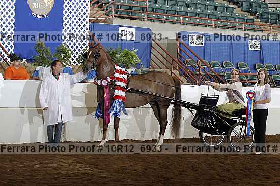 Proof Number 10r12_6933