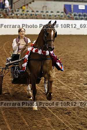 Proof Number 10r12_6936