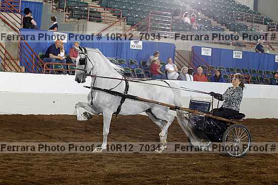 Proof Number 10r12_7034