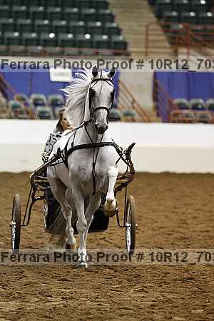 Proof Number 10r12_7035