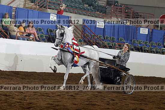 Proof Number 10r12_7039