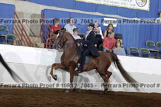 Proof Number 10r12_7045
