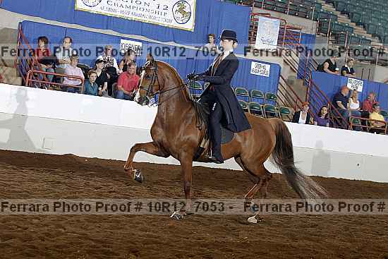 Proof Number 10r12_7053