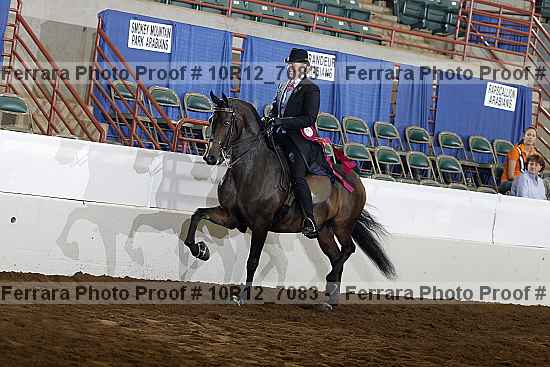Proof Number 10r12_7083