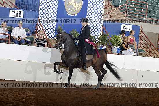 Proof Number 10r12_7085