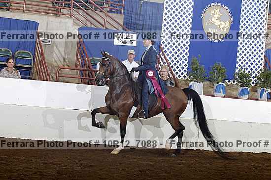Proof Number 10r12_7088
