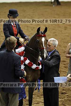 Proof Number 10r12_7166