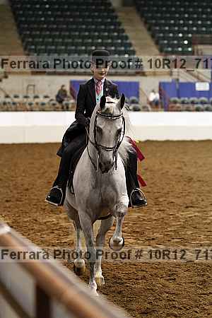 Proof Number 10r12_7176