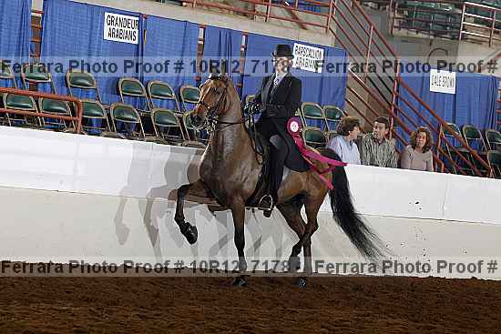 Proof Number 10r12_7178