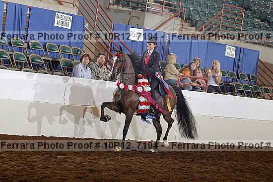 Proof Number 10r12_7194