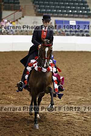 Proof Number 10r12_7196