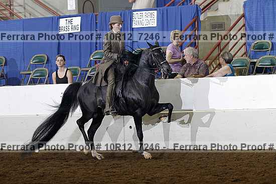 Proof Number 10r12_7246