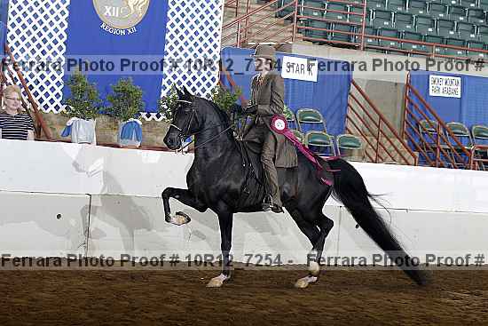 Proof Number 10r12_7254