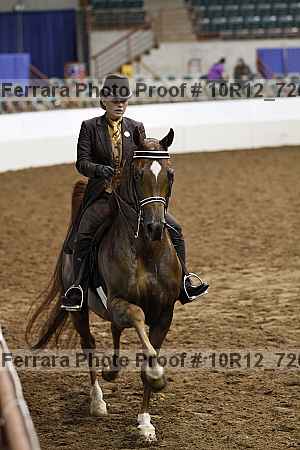 Proof Number 10r12_7260