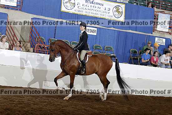 Proof Number 10r12_7305