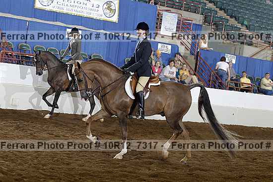 Proof Number 10r12_7317