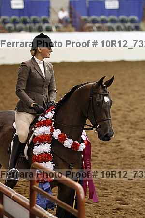 Proof Number 10r12_7325